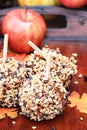 Delicious Chocolate Chip Carmel Apples Royalty Free Stock Photo