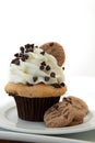 Delicious Chocolate Chip Cookie Cupcake Royalty Free Stock Photo