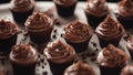 delicious chocolate cupcake selection