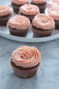 delicious chocolate cupcakes with strawberry buttercream, selective focus. Copy space