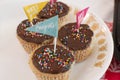 Graduation Celebration Cupcakes With Chocolate Icing