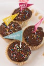 Graduation Celebration Cupcakes With Chocolate Icing