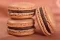 Delicious Chocolate Macaron Cookies Royalty Free Stock Photo