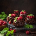 Delicious chocolate muffins with chocolate topping and fresh raspberry Royalty Free Stock Photo