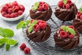 Delicious chocolate muffins with chocolate topping and fresh raspberry Royalty Free Stock Photo