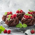 Delicious chocolate muffins with chocolate topping and fresh raspberry Royalty Free Stock Photo