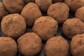 Delicious Chocolate Truffles with Rum and Raisins Royalty Free Stock Photo