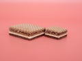 Delicious chocolate wafers with hazelnuts on a pink background. Royalty Free Stock Photo
