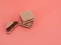 Delicious chocolate wafers with hazelnuts on a pink background. Royalty Free Stock Photo