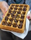 Delicious chocolate waffle Royalty Free Stock Photo