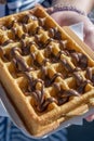 Delicious chocolate waffle Royalty Free Stock Photo
