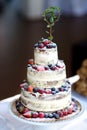 Delicious chocolate wedding cake decorated with fruits Royalty Free Stock Photo