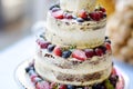 Delicious chocolate wedding cake decorated with fruits and berries Royalty Free Stock Photo