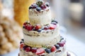 Delicious chocolate wedding cake decorated with fruits and berries Royalty Free Stock Photo