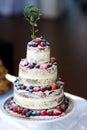 Delicious chocolate wedding cake decorated with fruits and berries Royalty Free Stock Photo