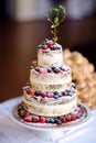 Delicious chocolate wedding cake decorated with fruits and berries Royalty Free Stock Photo