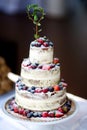 Delicious chocolate wedding cake decorated with fruits and berries Royalty Free Stock Photo