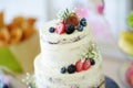 Delicious chocolate wedding cake decorated with fruits and berries Royalty Free Stock Photo