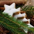 Delicious christmas cookies Royalty Free Stock Photo