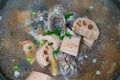 A delicious classic Chinese dish, lotus root ribs soup