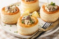 Delicious classic vol-au-vent stuffed with chicken, mushrooms in a creamy sauce close-up in a plate. horizontal Royalty Free Stock Photo