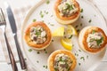 Delicious classic vol-au-vent stuffed with chicken, mushrooms in a creamy sauce close-up in a plate. horizontal top view