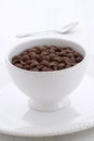 Delicious cocoa cereal