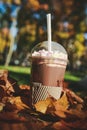 Delicious cocoa with marshmallows and a tube with condensed milk Royalty Free Stock Photo