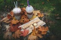 Delicious cocoa with marshmallows and a tube with condensed milk Royalty Free Stock Photo