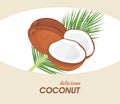 Delicious coconut. Label for design