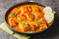 Delicious coconut tomato fish curry with Asian spices and chili pepper close-up on a plate. Horizontal Royalty Free Stock Photo