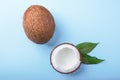 Delicious coconuts on a bright blue background. Fresh, ripe and appetizing coconuts. Half of coconuts. Healthful lifestyle.