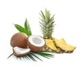 Delicious coconuts and ripe juicy pineapple on white