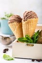 Delicious coffee ice cream for dessert Royalty Free Stock Photo