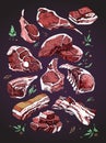 Delicious color drawing of different pieces of meat