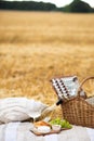 Delicious colorful picnic in the lavender field in the sunny day. Wine and three wine glasses on the golden tray