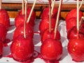 Delicious colorful sweet caramel apples with wooden stick