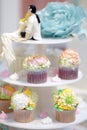 Delicious colorful wedding cupcakes with flower on the blurred background. Funny figurines bride and groom Royalty Free Stock Photo