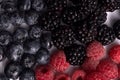 A set of sweet and sour wet blackberries, blueberries and raspberries laying on white background Royalty Free Stock Photo