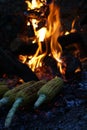 Fire corn