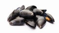 Delicious cooked mussels in shells on white background, top view.