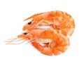 Delicious cooked shrimps on white, top view