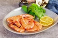 Delicious cooked shrimps in plate isolated on grey background. Boiled prawns Royalty Free Stock Photo