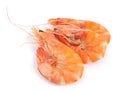 Delicious cooked whole shrimps isolated