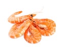 Delicious cooked whole shrimps isolated Royalty Free Stock Photo