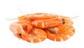 Delicious cooked whole shrimps isolated Royalty Free Stock Photo
