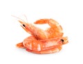 Delicious cooked whole shrimps on white Royalty Free Stock Photo