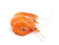 Delicious cooked whole shrimps on white Royalty Free Stock Photo