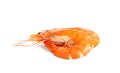 Delicious cooked whole shrimps isolated on white Royalty Free Stock Photo