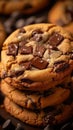 Delicious cookies with chocolate chips sweet treat on the table